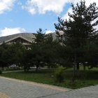 Тамара
