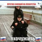 Линара