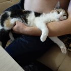 Светлана Александровна Ежова